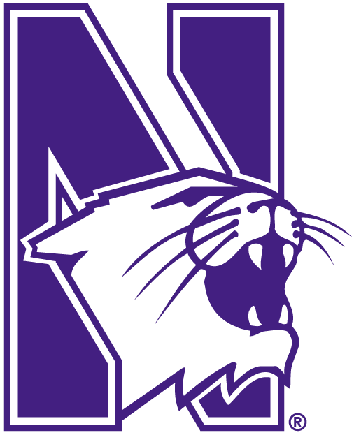 Northwestern Wildcats 1981-Pres Alternate Logo diy DTF decal sticker